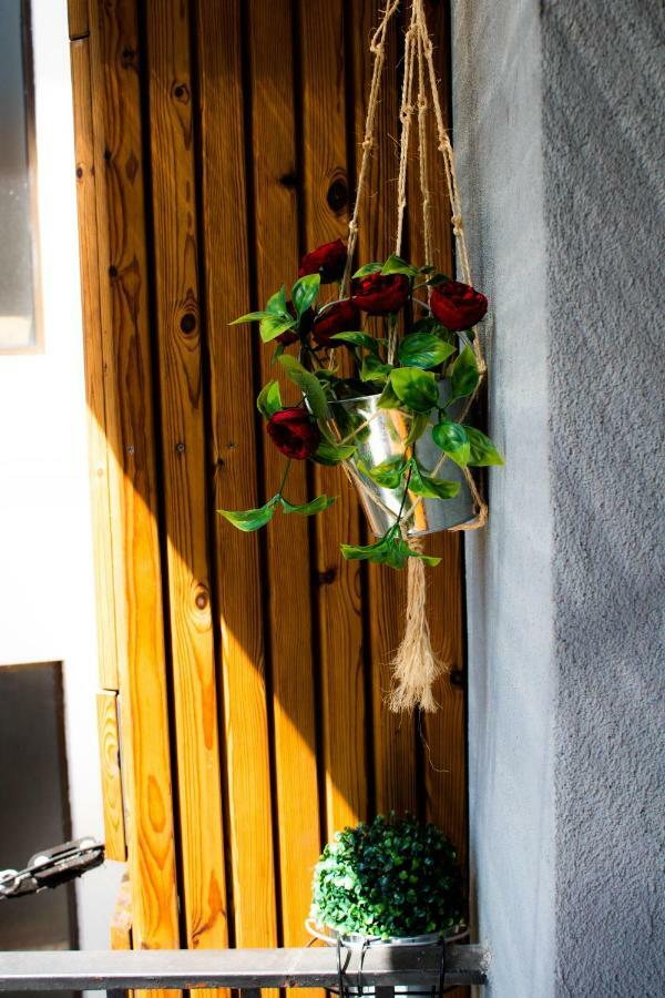Refugio Da Vila - Refuge Of The Village Vouzela Exterior photo
